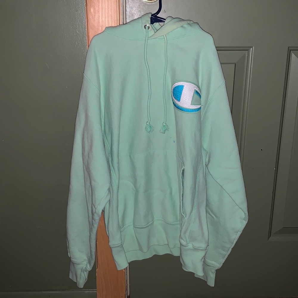 Mens Reverse Weave Champion Hoodie